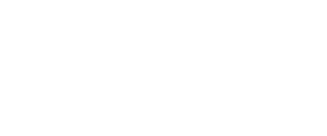 Ziva_4
